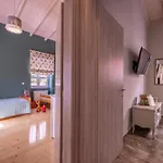 Oasis