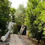 Oasis * Tolón