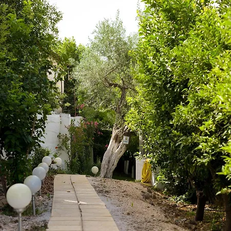 Oasis * Tolón