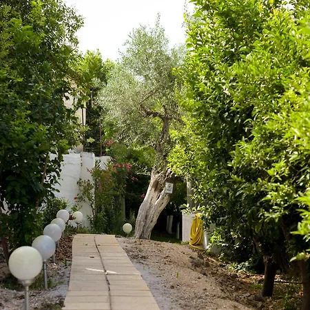 Oasis * Tolón